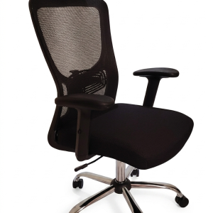 Silla de escritorio Functinal pro